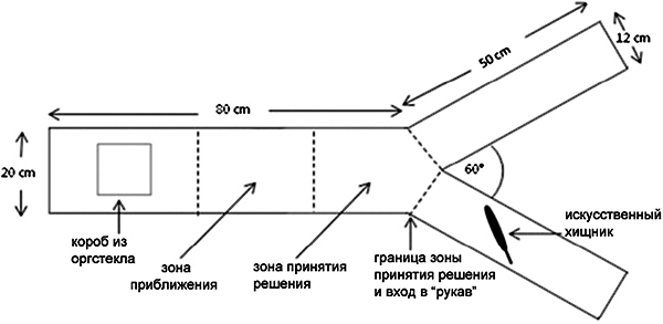 Эксперимент по определению возможности самоорганизации рыб Эксперимент по определению возможности самоорганизации рыб